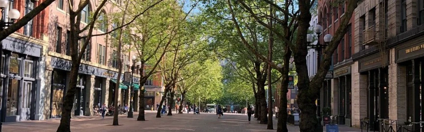 20 Best Things to Do in Seattle