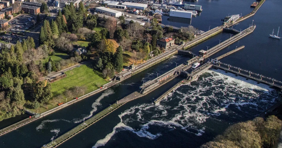 20 Mejores Cosas que Hacer en Seattle