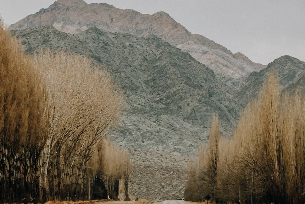 Road Trips from Seattle: Exploring the Beauty Beyond the City Limits